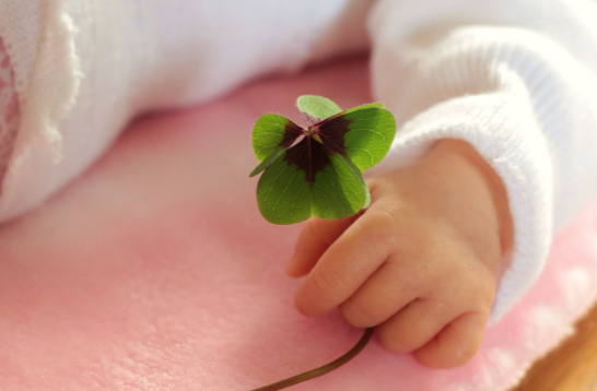 想要怀男孩怎么调理身体.jpg 想要怀男孩怎么调理身体.jpg