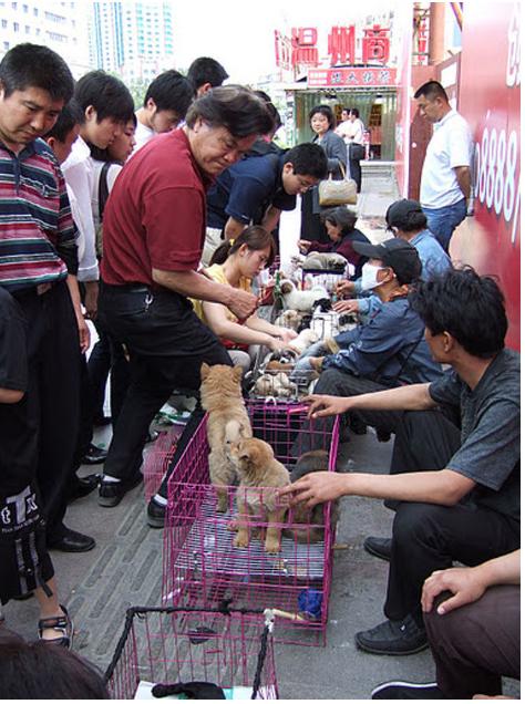 大连历史详细介绍（十五年前的大连掠影）(108)