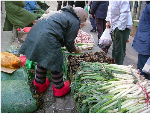 大连历史详细介绍(十五年前的大连掠影)(93)