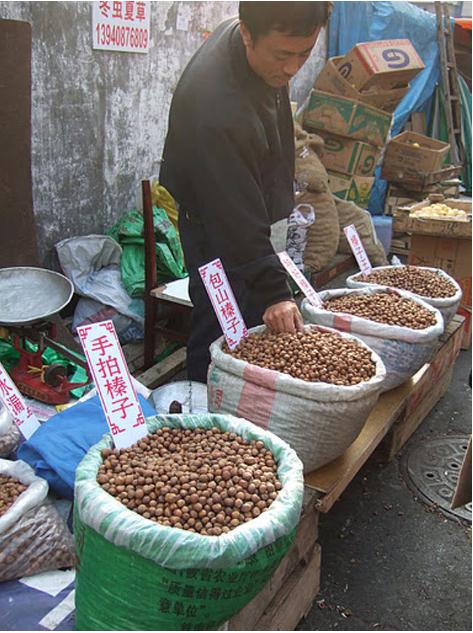 大连历史详细介绍（十五年前的大连掠影）(91)