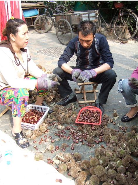 大连历史详细介绍（十五年前的大连掠影）(52)