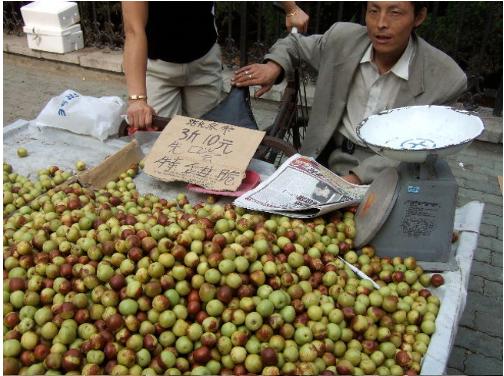 大连历史详细介绍(十五年前的大连掠影)(51)