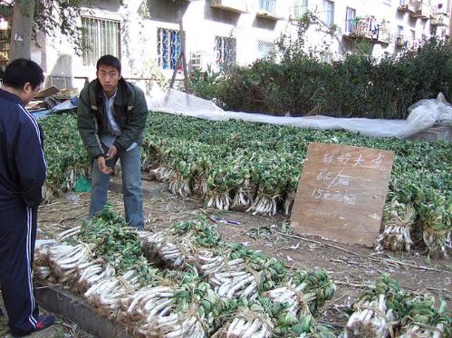 大连历史详细介绍(十五年前的大连掠影)(50)