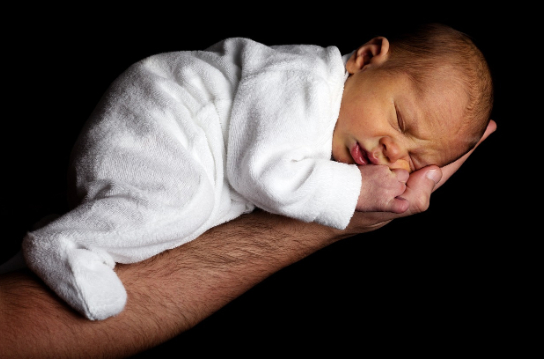 性别是如何决定的.jpg 性别是如何决定的.jpg