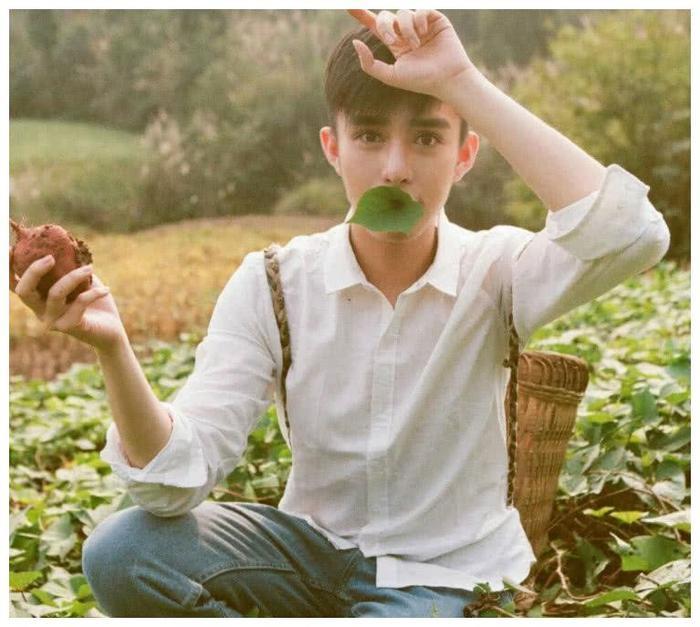 他曾是卖红薯的,却整容上瘾,因颜值过高,出演《香蜜》一炮而红