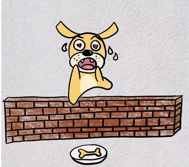 狗年说狗，看图猜成语，这8幅画您能猜对几个