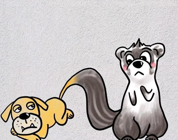 狗年说狗，看图猜成语，这8幅画您能猜对几个