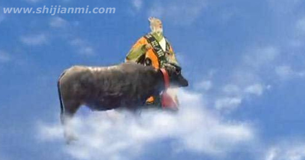 青牛是什么牛?青牛的来历(太上老君的瑞兽坐骑)