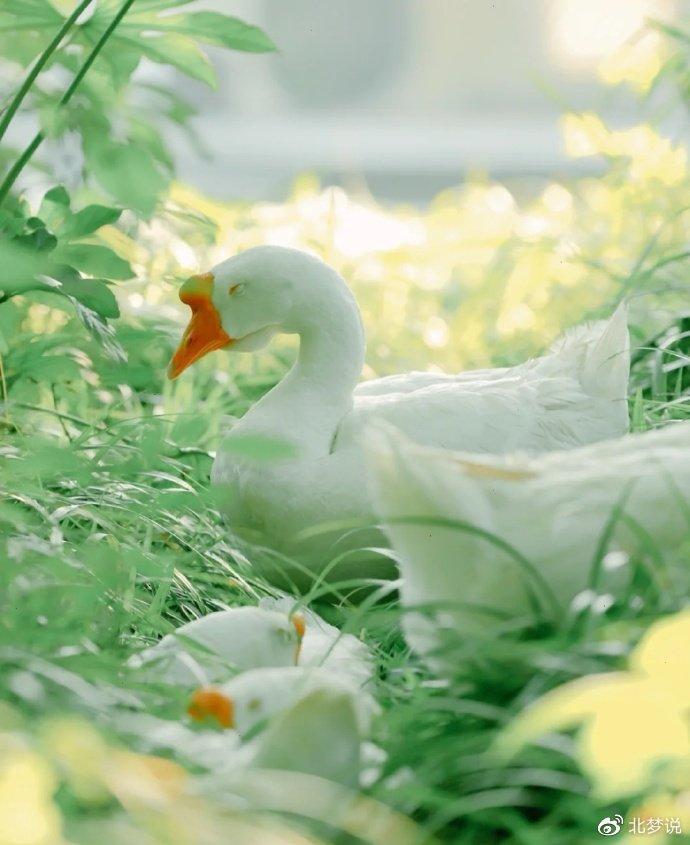 ​夫妻感情的真相，越早明白了，才能和睦相处一辈子