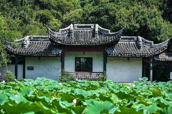 忘了苏州园林吧，去这样的私家园林，感受另类风格花园的风情