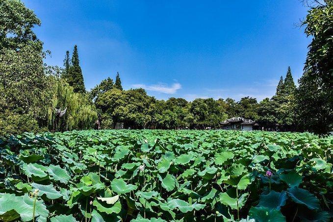 忘了苏州园林吧，去这样的私家园林，感受另类风格花园的风情