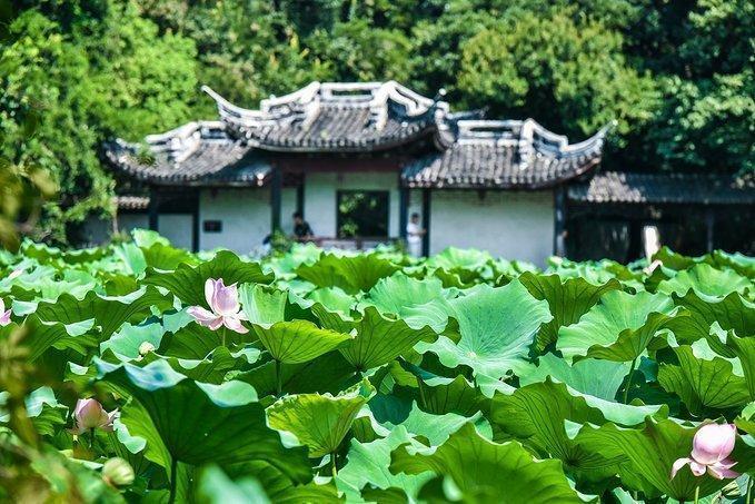 忘了苏州园林吧，去这样的私家园林，感受另类风格花园的风情