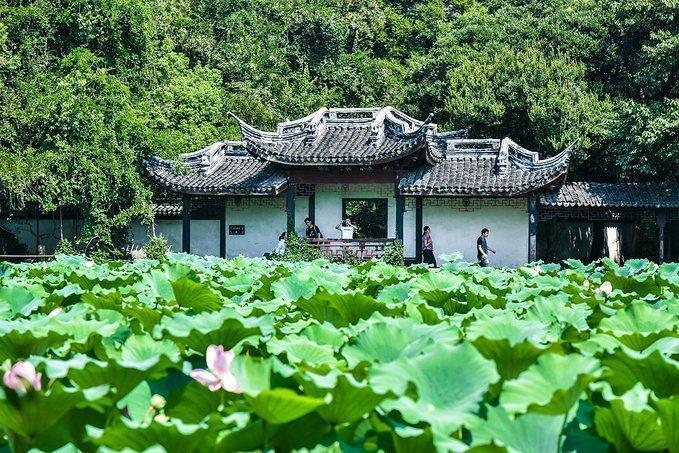 忘了苏州园林吧，去这样的私家园林，感受另类风格花园的风情