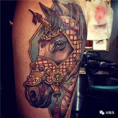 为啥很多马都有“纹身”？左肩字母、右肩数字是要混社会？