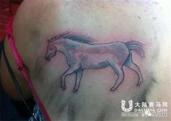 为啥很多马都有“纹身”？左肩字母、右肩数字是要混社会？