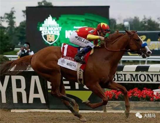 为啥很多马都有“纹身”？左肩字母、右肩数字是要混社会？