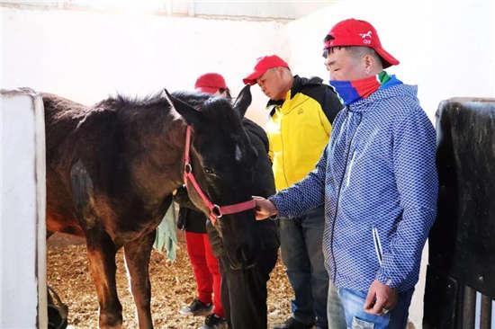 为啥很多马都有“纹身”？左肩字母、右肩数字是要混社会？