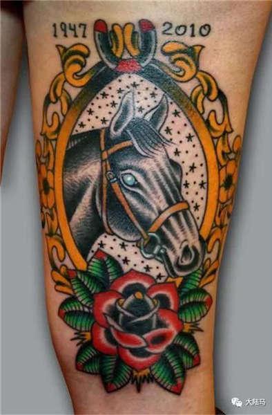 为啥很多马都有“纹身”？左肩字母、右肩数字是要混社会？