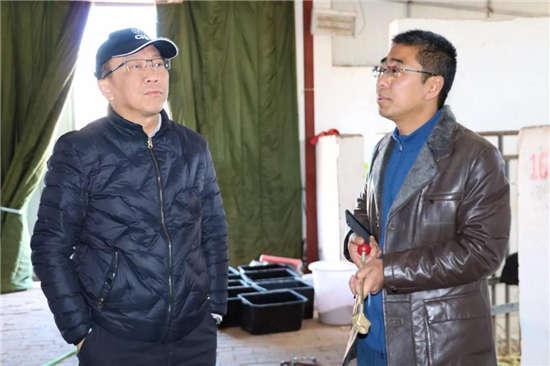 为啥很多马都有“纹身”？左肩字母、右肩数字是要混社会？