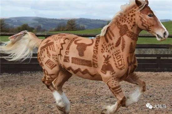 为啥很多马都有“纹身”？左肩字母、右肩数字是要混社会？
