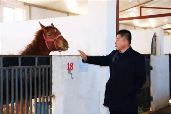 为啥很多马都有“纹身”？左肩字母、右肩数字是要混社会？