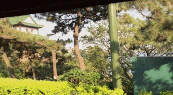 只要10块钱！一日游遍老青岛！这条线路很多人都不知道...